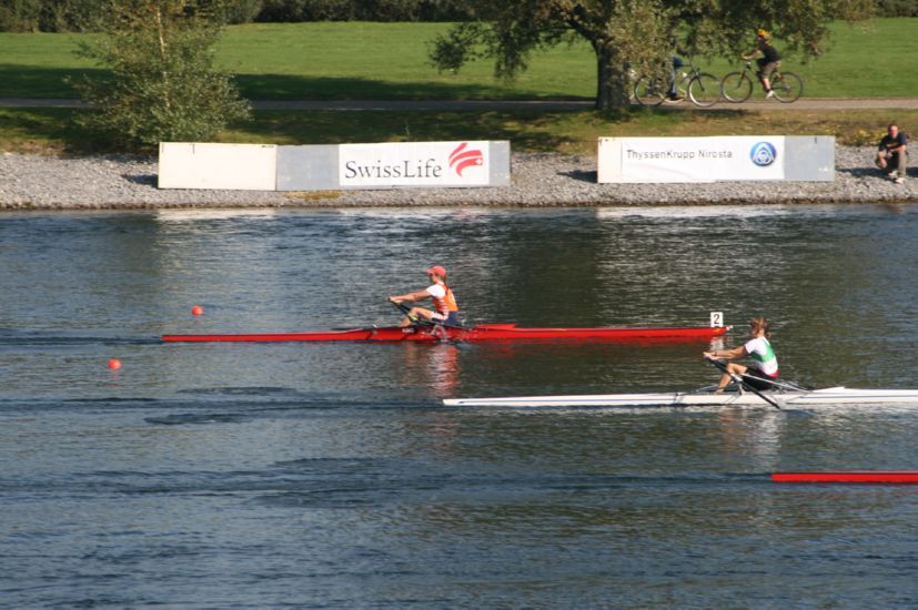 DSM_2007_ 208